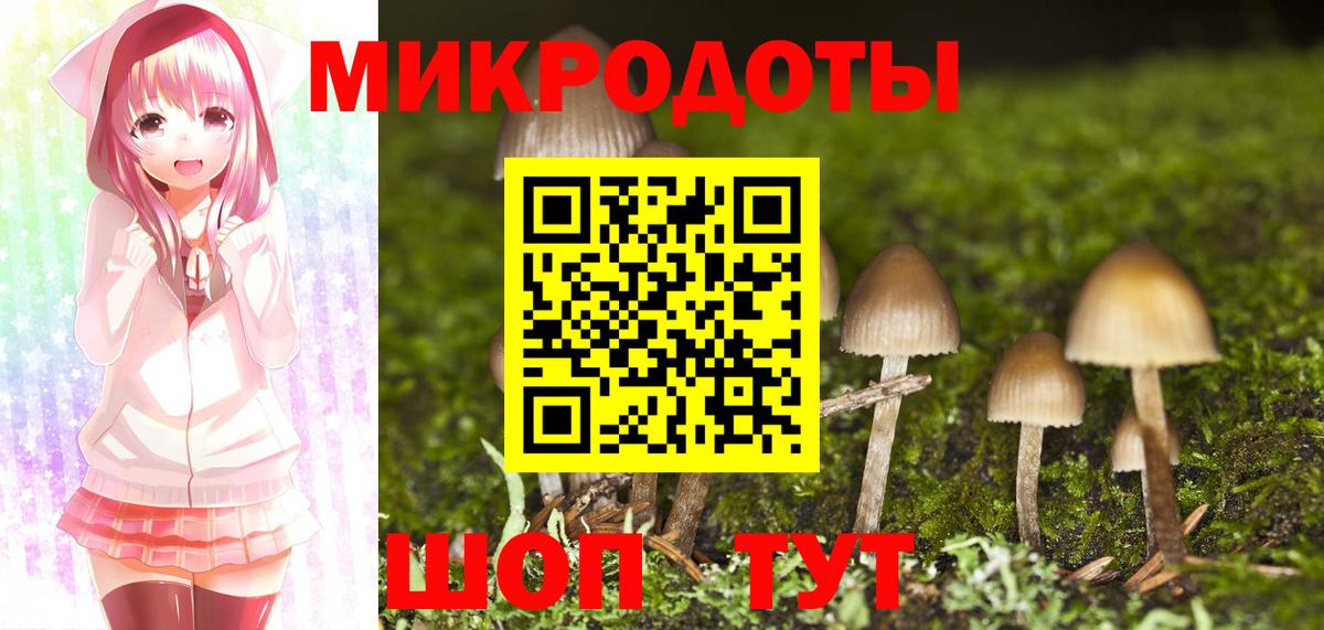 Галлюциногенные грибы GOLDEN TEACHER  Псилоцибиновые грибы ЛСД  Вход с VPN  Мурманск 