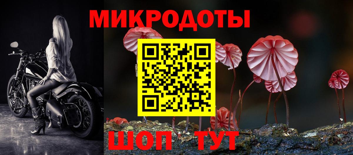 Псилоцибиновые грибы мицелий Мурманск